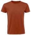 10553 Regent Fit Tshirt Terracotta colour image
